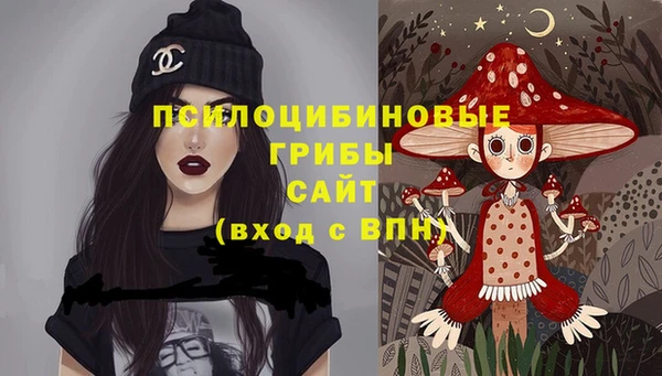 гашик Зеленодольск