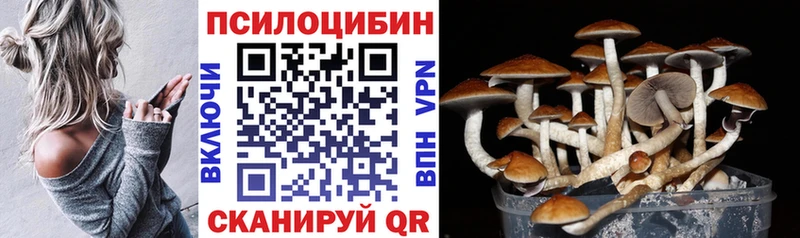 Галлюциногенные грибы мухоморы  Бийск 