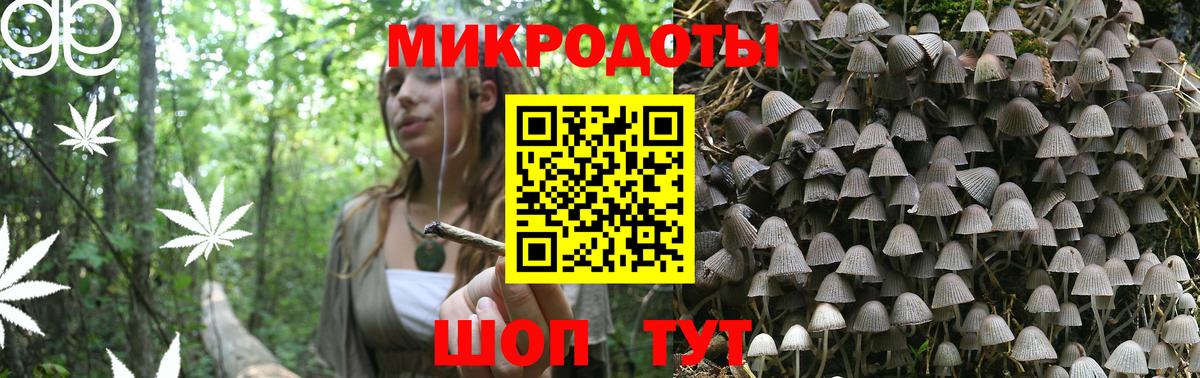 Псилоцибиновые грибы GOLDEN TEACHER Бийск