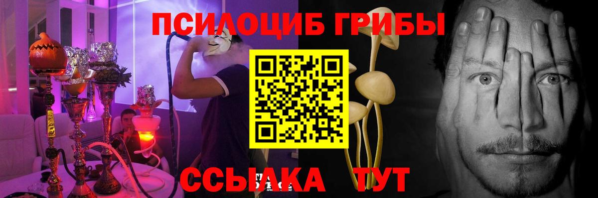 Бийск  Псилоцибиновые грибы MAGIC MUSHROOMS  Вход с VPN 