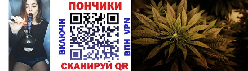 мориарти клад  Бийск  Бошки марихуана AK-47 