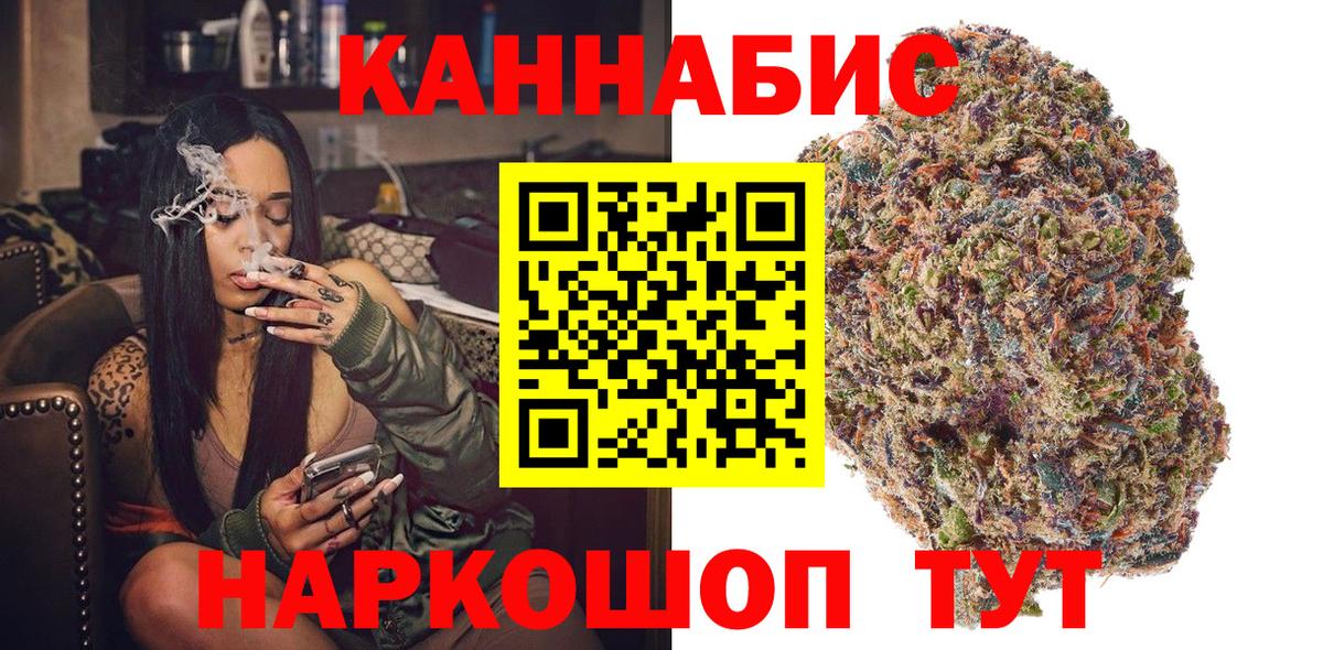 Марихуана планчик  Канабис OG Kush  Бийск 
